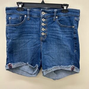 Torrid Women's Denim Blue Shorts in size 12